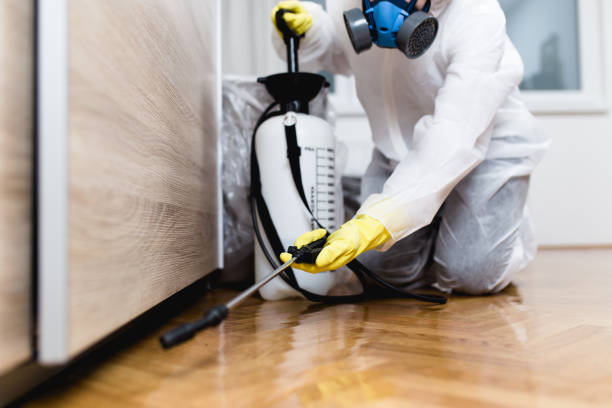 Best Pest Prevention Services  in Mesilla, NM