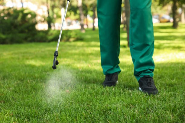 Best Exterminator Services  in Mesilla, NM