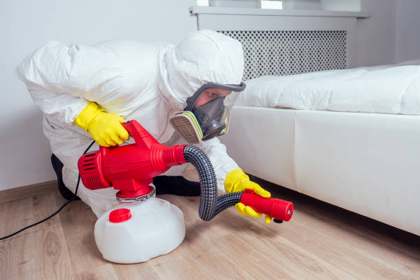 Professional Pest Control in Mesilla, NM